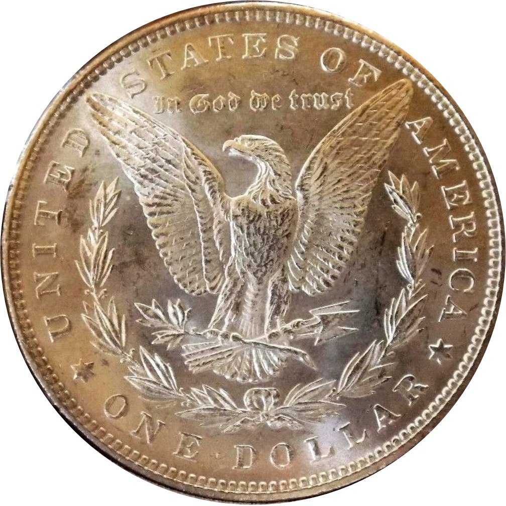 1883-Toned-Morgan-Dollar